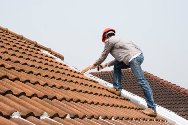 Best Wood Shake Roofing  in Panthersville, GA