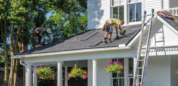 Best Storm Damage Roof Repair  in Panthersville, GA